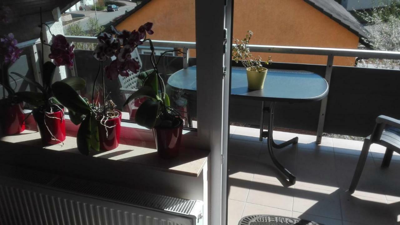 Obere Ferienwohnung Asshoff Zwischen Odenwald, Taubertal Und Bauland Berolzheim 외부 사진