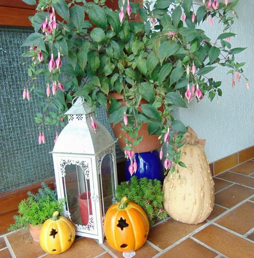 Obere Ferienwohnung Asshoff Zwischen Odenwald, Taubertal Und Bauland Berolzheim 외부 사진