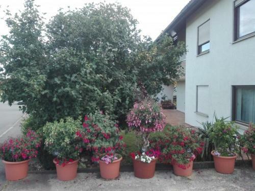 Obere Ferienwohnung Asshoff Zwischen Odenwald, Taubertal Und Bauland Berolzheim 외부 사진